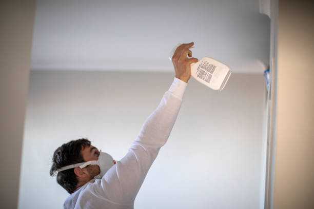 Mold Removal Process in St Bonaventure, NY